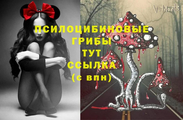 mdma Медногорск