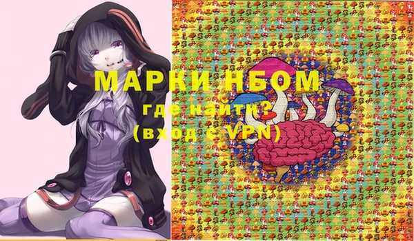 a pvp Магас