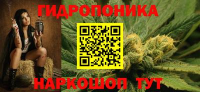 соль ск Бийск