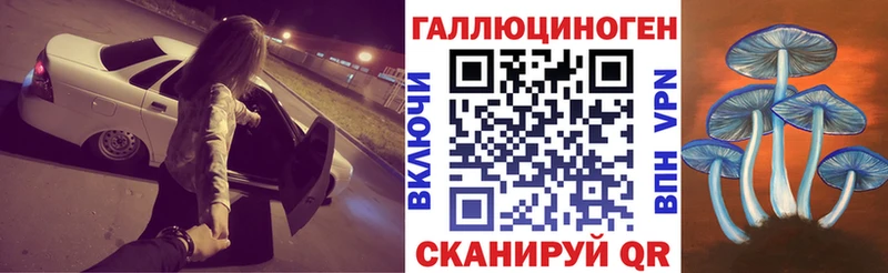 даркнет Telegram  где купить   Домодедово  Псилоцибиновые грибы Psilocybine cubensis 