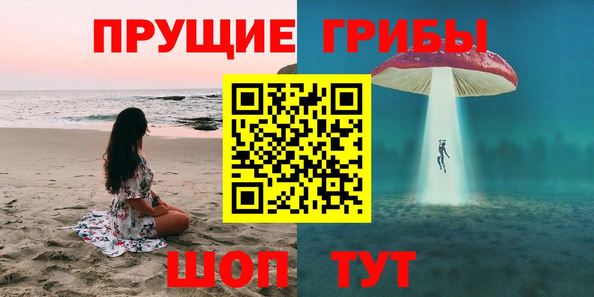 Псилоцибиновые грибы мицелий  Домодедово  Галлюциногенные грибы GOLDEN TEACHER 