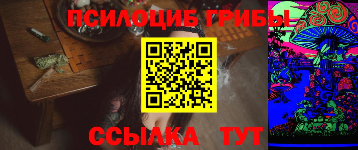 Псилоцибиновые грибы Psilocybe Домодедово