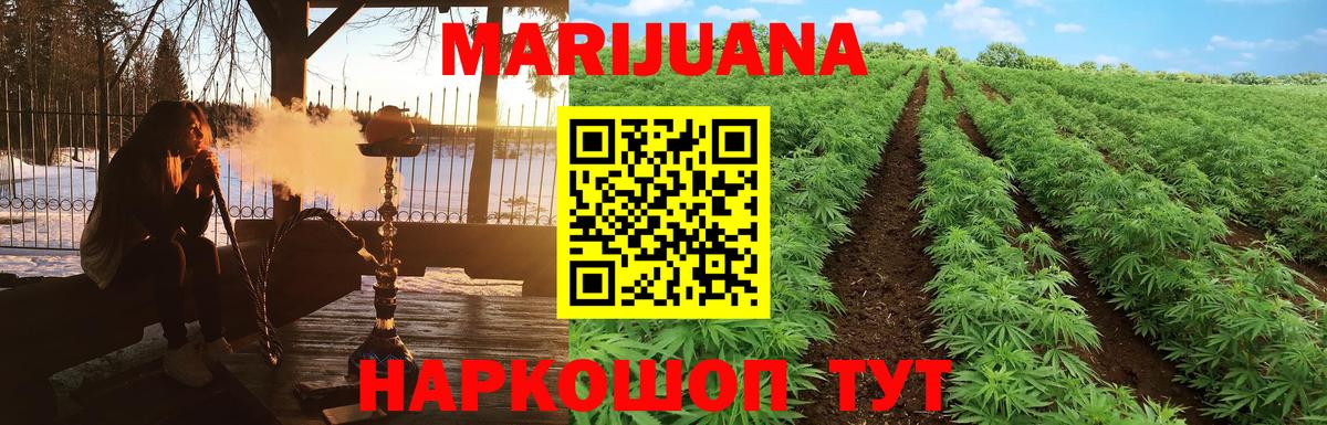 Конопля OG Kush Домодедово